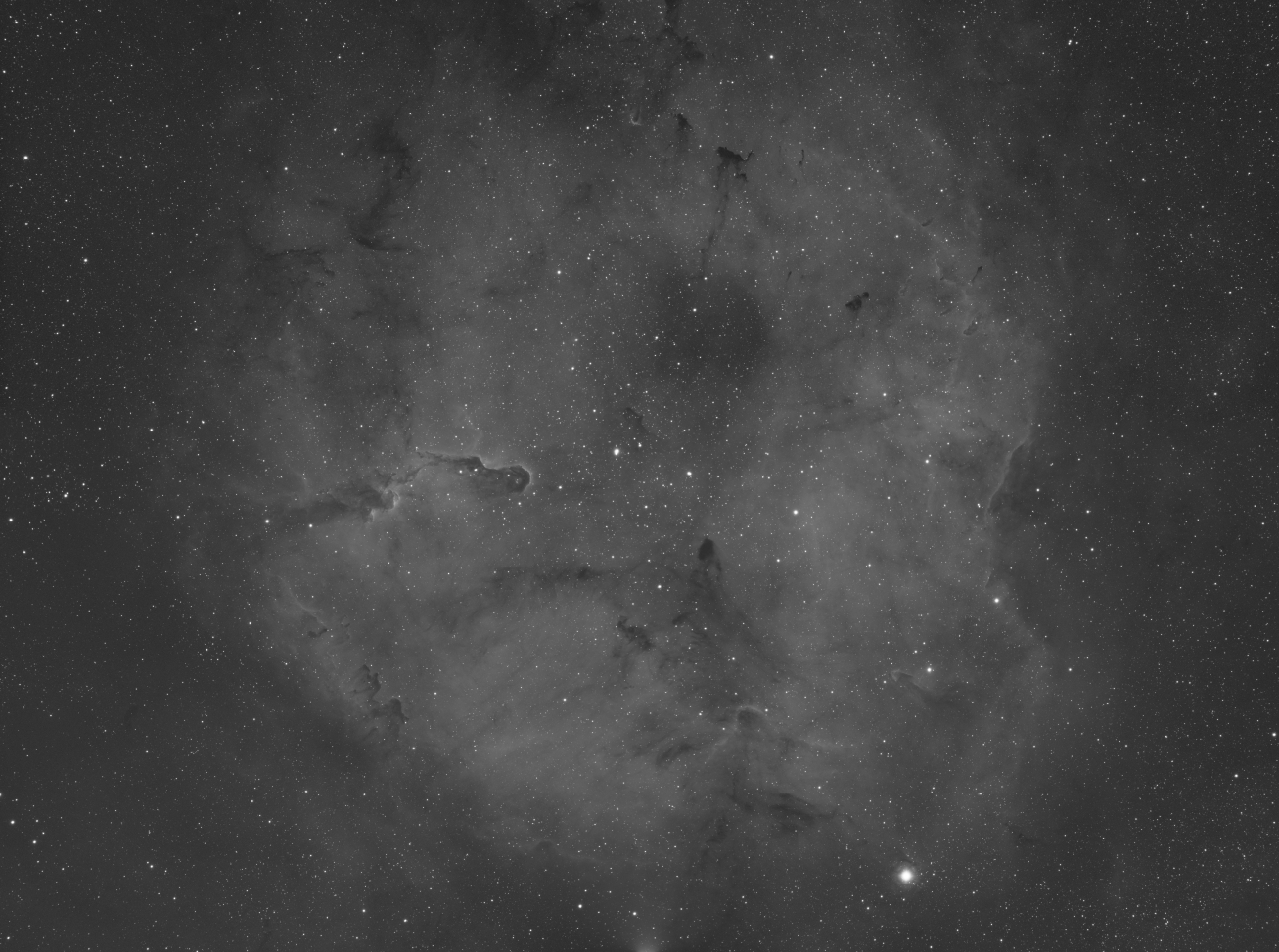 elephant trunk nebula mosaic.jpg